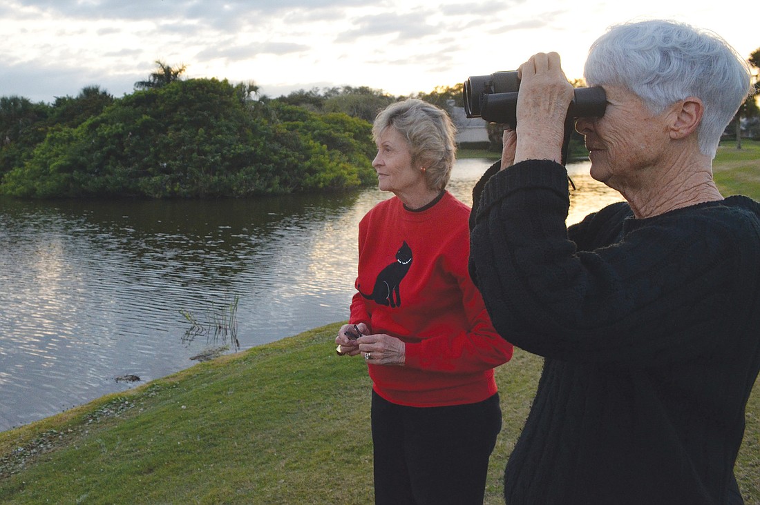 Beverly Meadows and Cecily SharÃ¢â‚¬â€œWhitehill enjoy the bird colony. They like watching the birds fly in at sunset.
