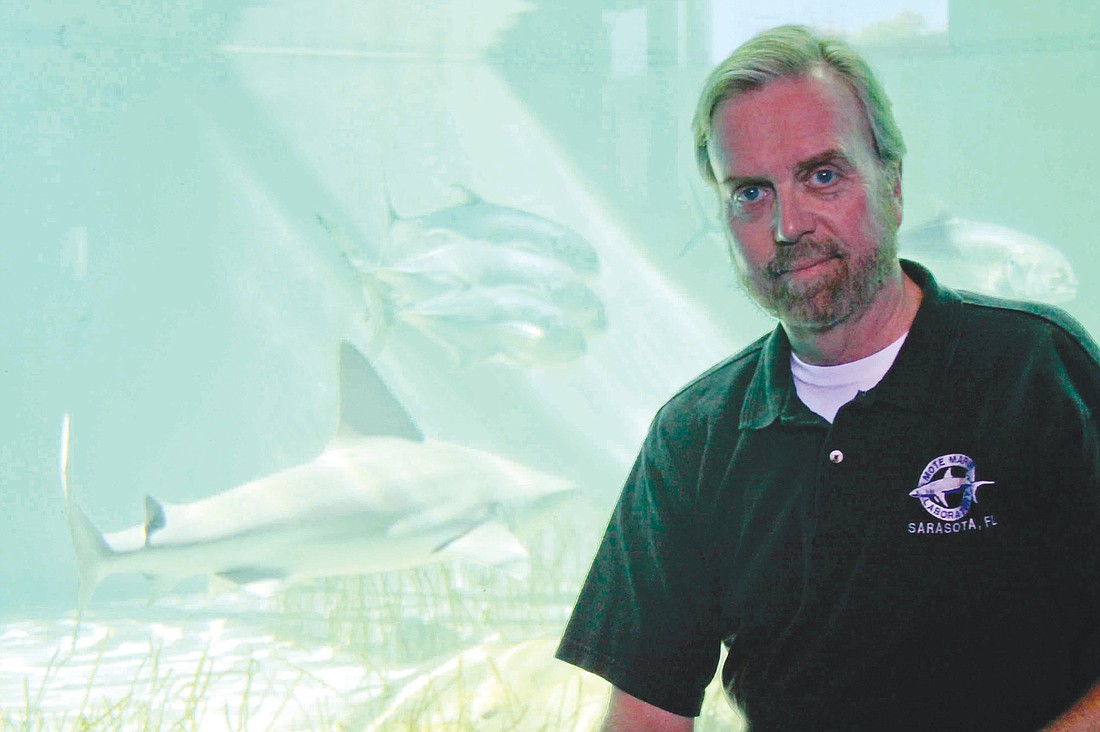 Dr. Robert Hueter, of Mote Marine, co-authored a paper that outlines four classifications to better describe human interactions with sharks.