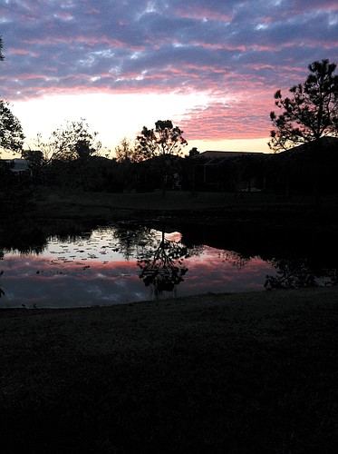 East County resident Kim Gennocro submitted this photo of a sunrise on Silverado Circle in River Club neighborhood.