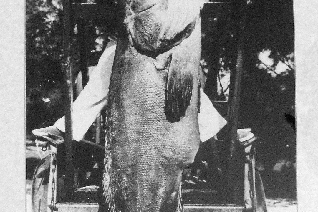 Photos offer historic snapshot of Longboat Key Your Observer