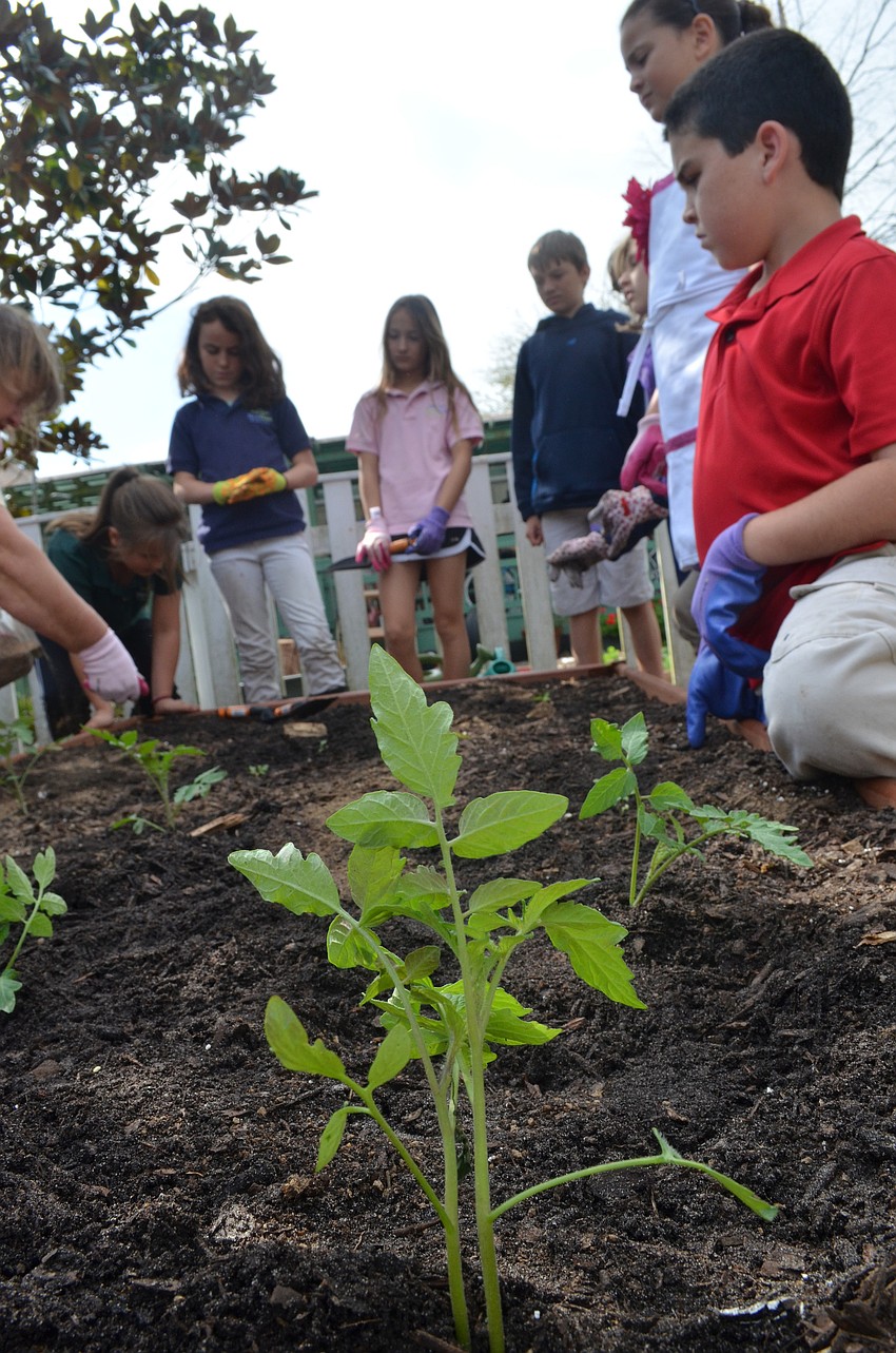 Children listen to master gardener Melba Watts talk about gardening.
