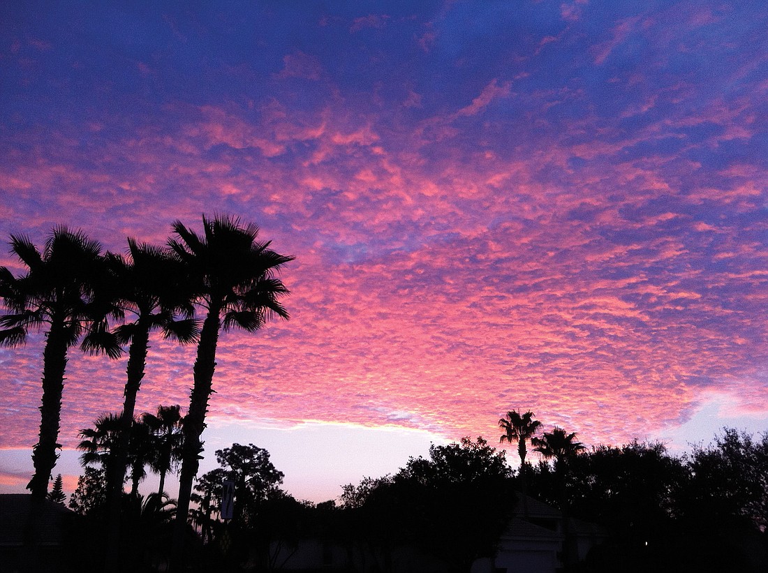 East County resident Kim Gennocro submitted this photo of a sunrise over River Club Boulevard.