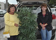 Debbie Causey and Margey Hinderliter bought a palm tree, bird house and golf clubs among a â€œcarload of itemsâ€