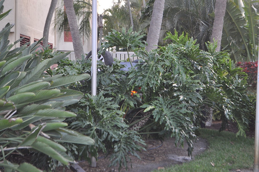 The car landed upside down in the bushes of Sea Oats condominium.