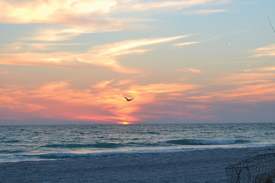 Nancy Deeb submitted this sunset photo, taken near Seaplace on Longboat Key.