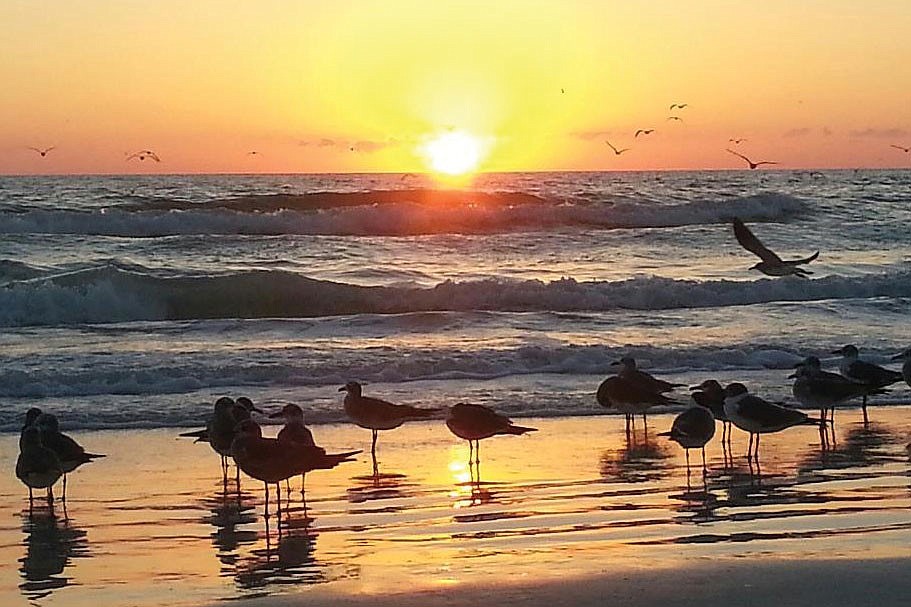 Stella McDaniel submitted this photo of a sunset at Point of Rocks on Siesta Key.