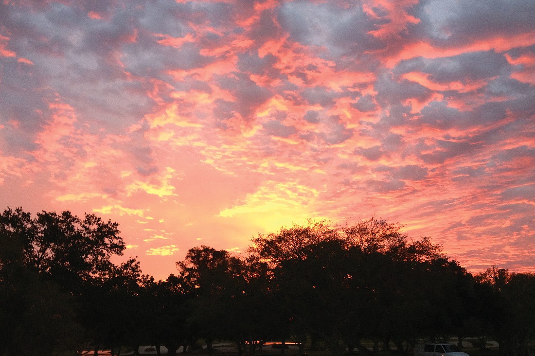 Nenad Kalicanin submitted this sunrise photo, taken on Longboat Key.