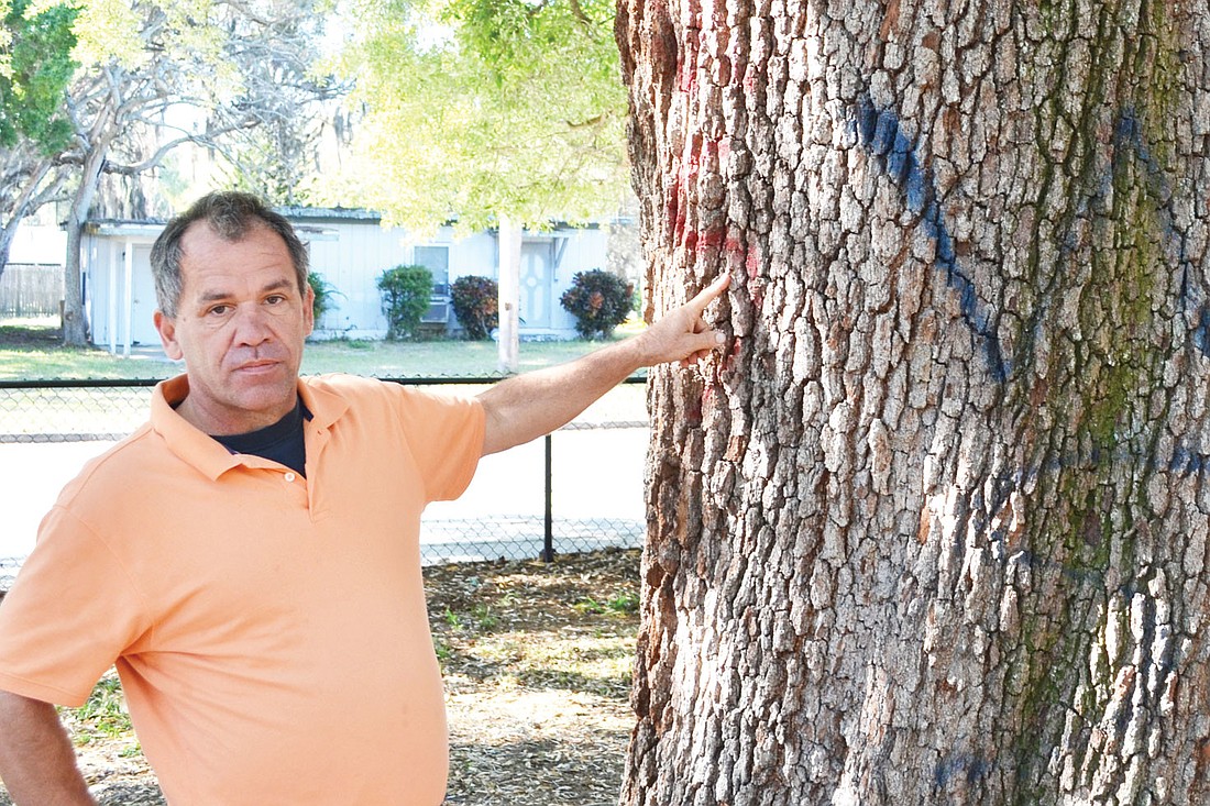 Rick Farmer has seen graffiti on some of the towering oaks near the playground.