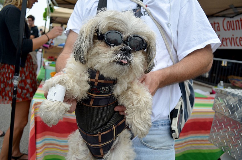David Leventhal shows off his biker dog, Sam.