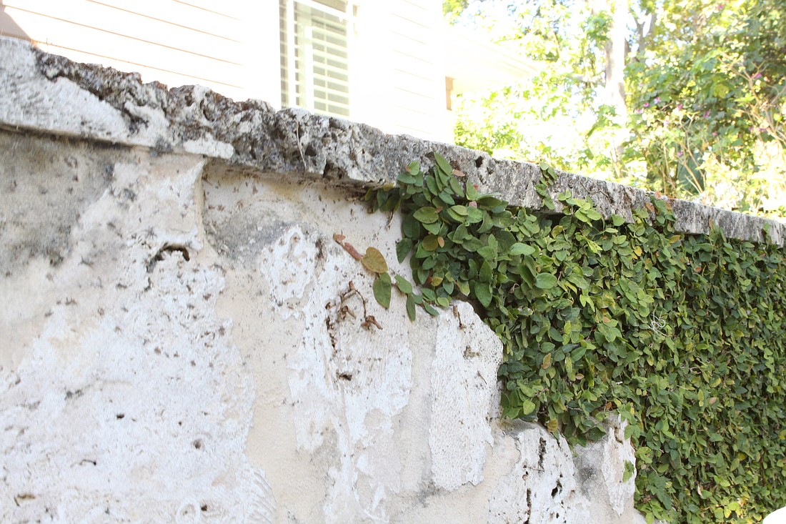 The small wall that forms a front porch at the Rogerses' home is made out of coral rock that was quarried from the Florida Keys and is covered with creeping myrtle vine. Photos by Rachel S. O'Hara