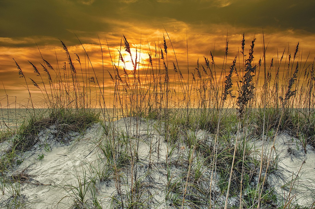 East County resident Robert Francisco submitted this photo of a sunset through the sea oats at Siesta Key.