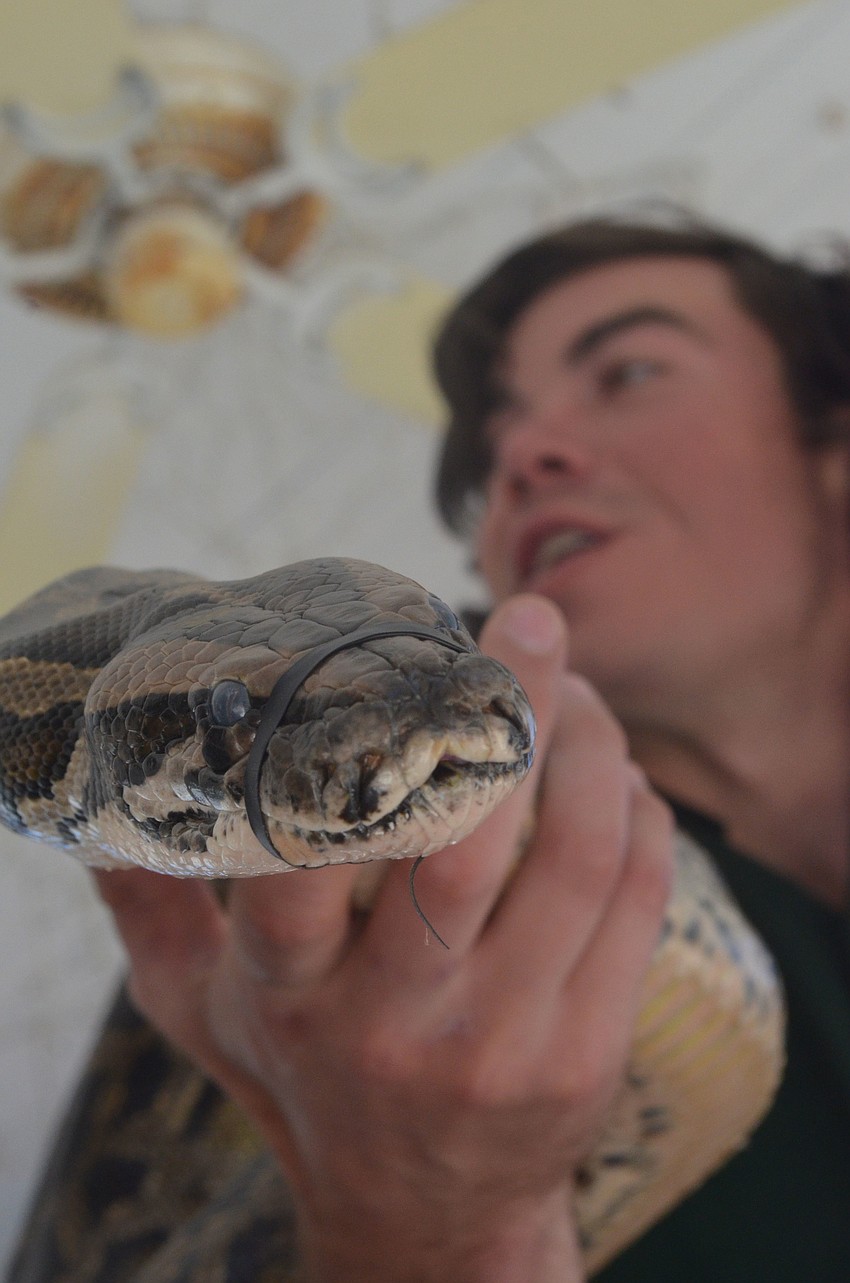 Sarasota Jungle Gardens animal keeper Mark Novak shows a 9-foot long Burmese python to children at Southside Elementary. He says pythons are an invasive species in Florida and can get up to 19 feet long.