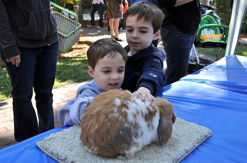 Beckett, 3, and Foster, 5, Smith have fun petting Steson the bunny at the Hare Raisers table.