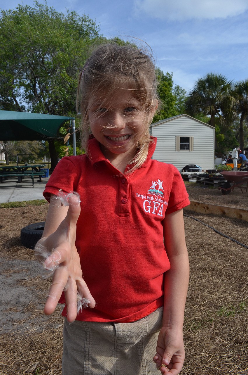 Camiryn Opstal, 5, releases seeds and learns about the life cycle of a seed.