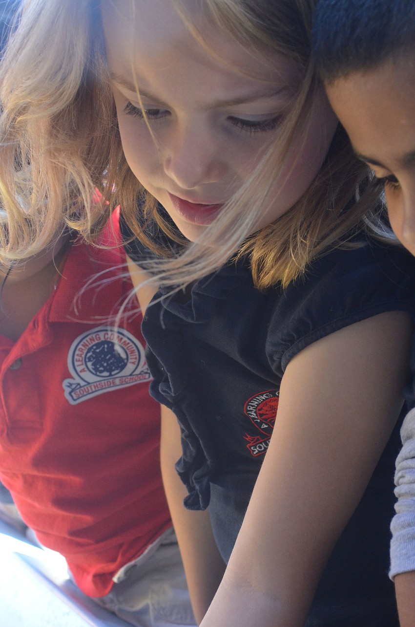 Ava Sims checks out starfish in Mote Marine Aquariums touch tank.