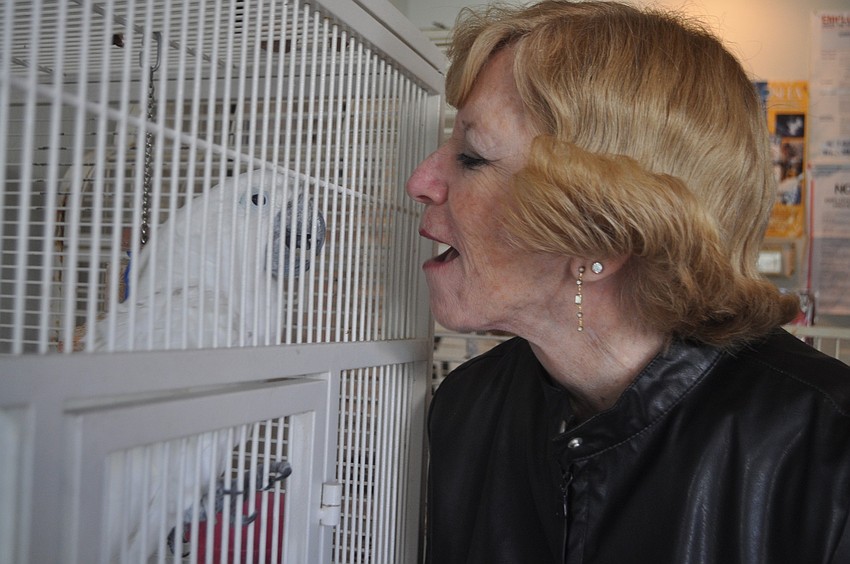 Gabby, an umbrella cockatoo, sings â€œHappy Birthdayâ€ to Patti Myles.