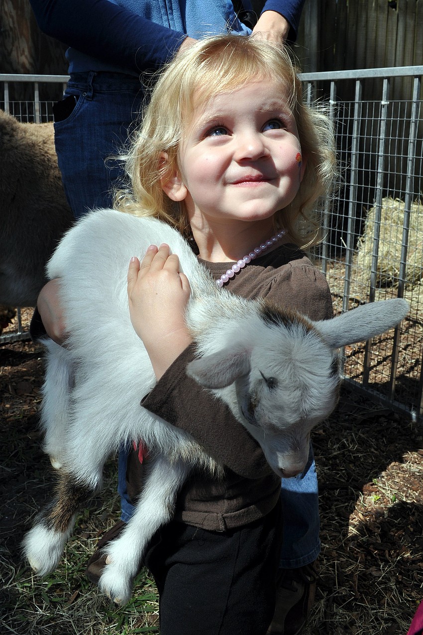 Shea Haines, 2, holds a baby goat in the petting zoo.