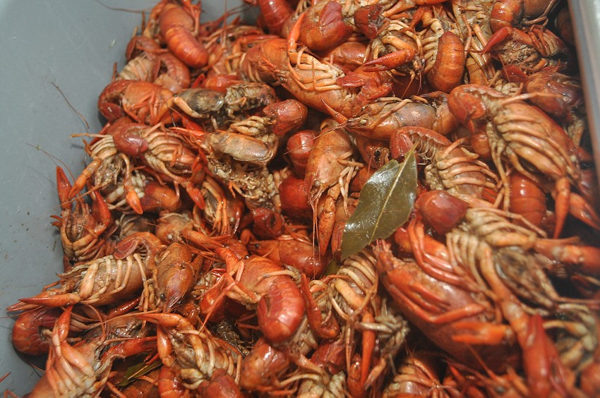 The Daiquiri Deck drew in business with free crawfish.