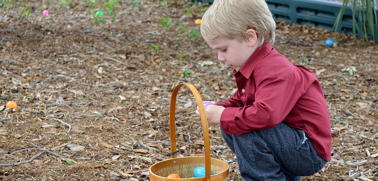 Kepler Henry examines an egg before placing it in his basket.