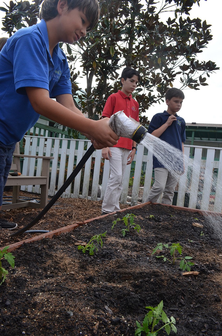Evan Angeleri, 9, waters the plants.