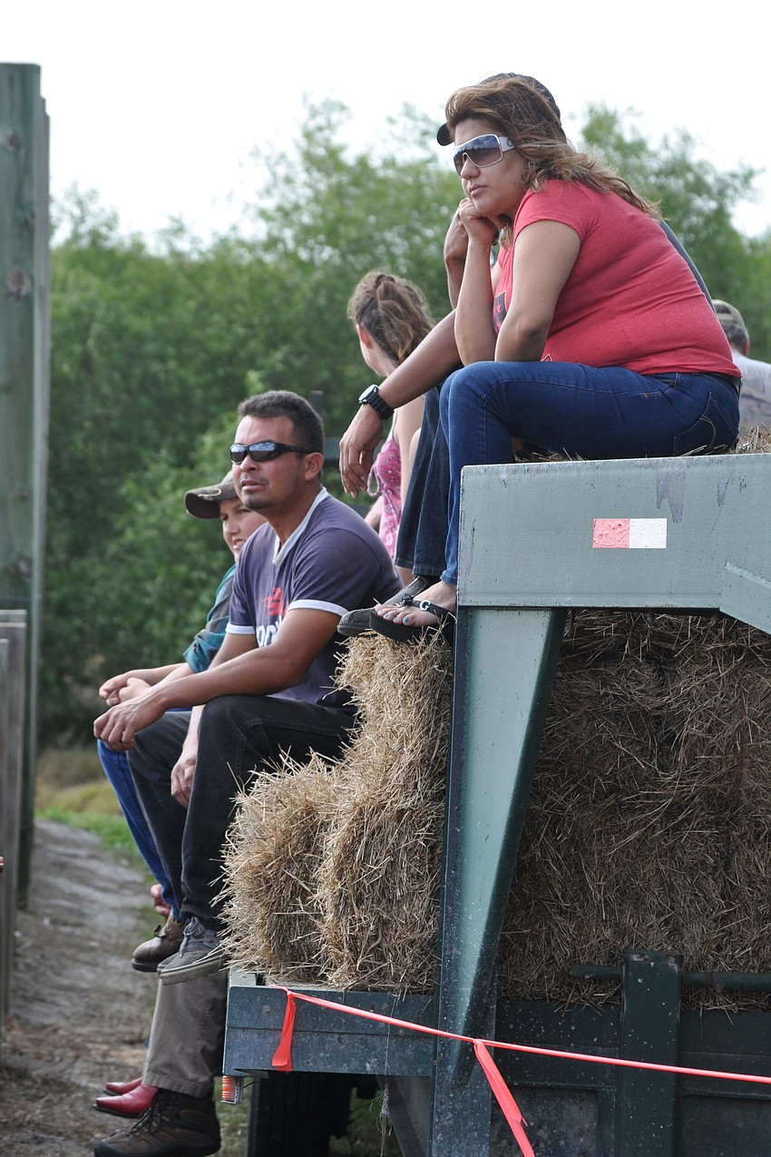 Attendees watched the roping and penning competitions from hay bales on the sidelines.