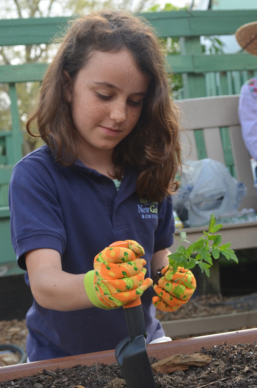 Lily Moore, 10, gets ready to place a plant in the hole she dug.