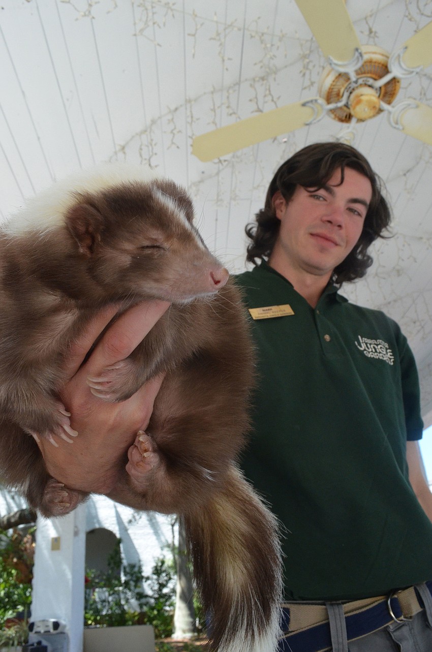 Sarasota Jungle Gardens animal keeper Mark Novak shows children a mocha skunk.