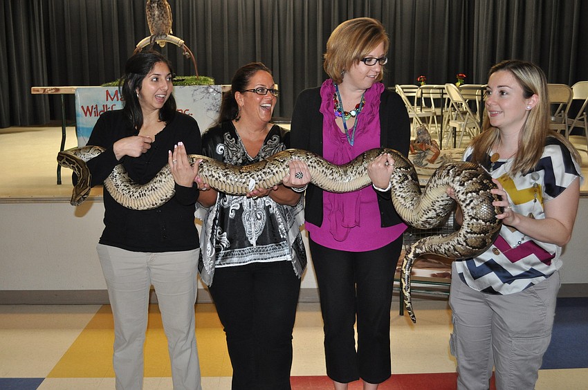 Teachers Jennifer Santora, Ronda Turner, Amy Baker and Sara Baker held a python.