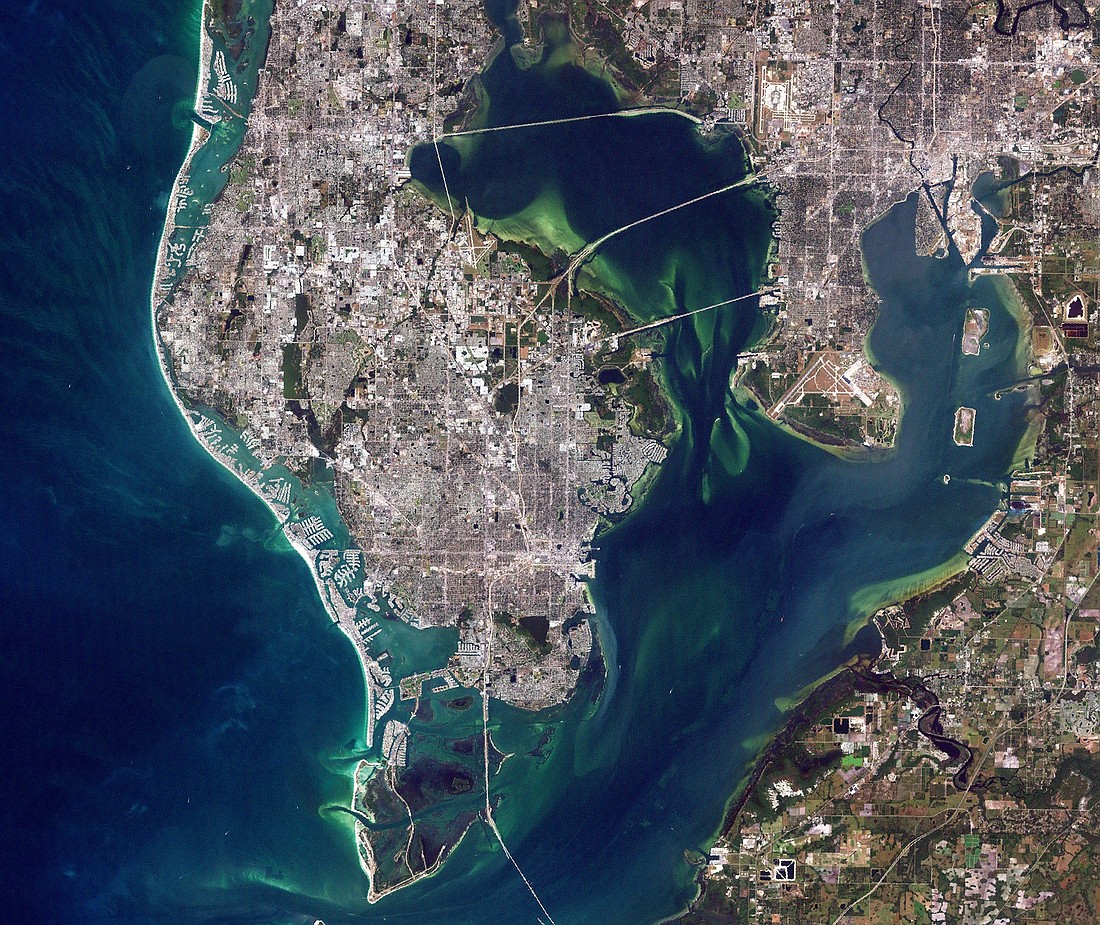 A satellite photo of the Tampa Bay area taken in October 2018 that shows areas affected by red tide. Photo courtesy of NASA.