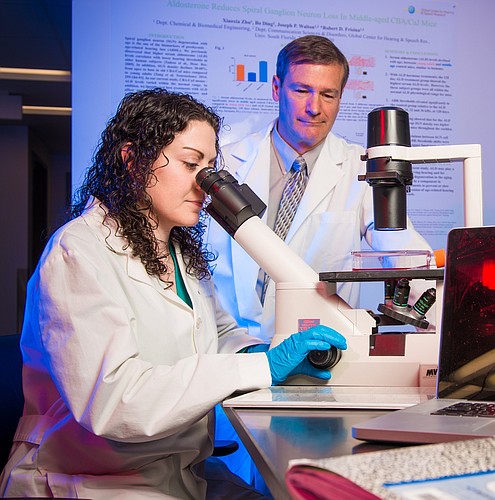 Dr. Robert Frisina works with a student in his lab at USF. Courtesy photo.