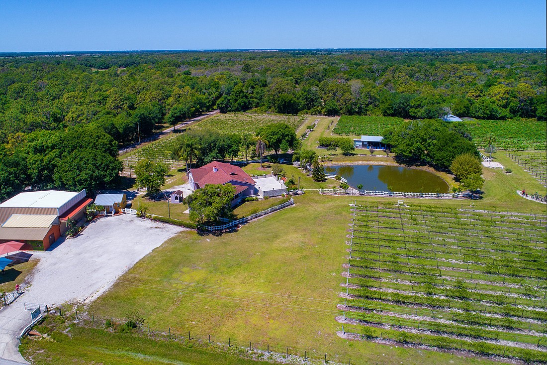FIle. Fiorelli Winery, a 10-acre working vineyard with a four-bedroom residence, was recently listed for sale.