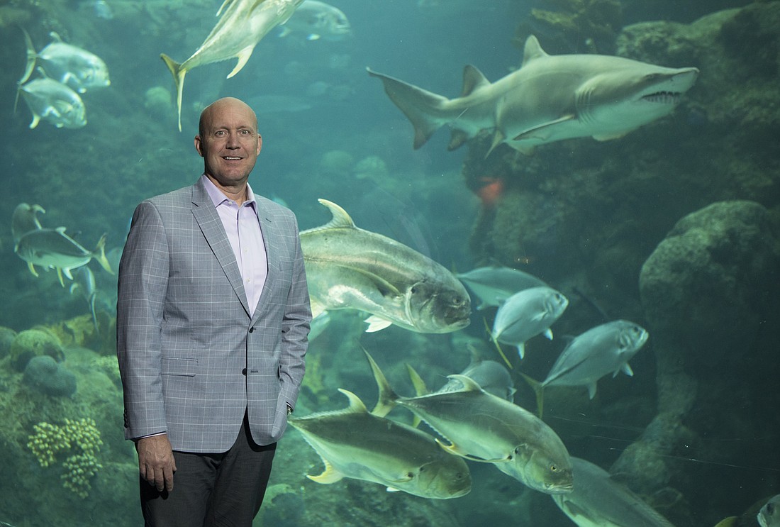 File. Roger Germann moved from Chicago to Tampa last year to become president and CEO of The Florida Aquarium.