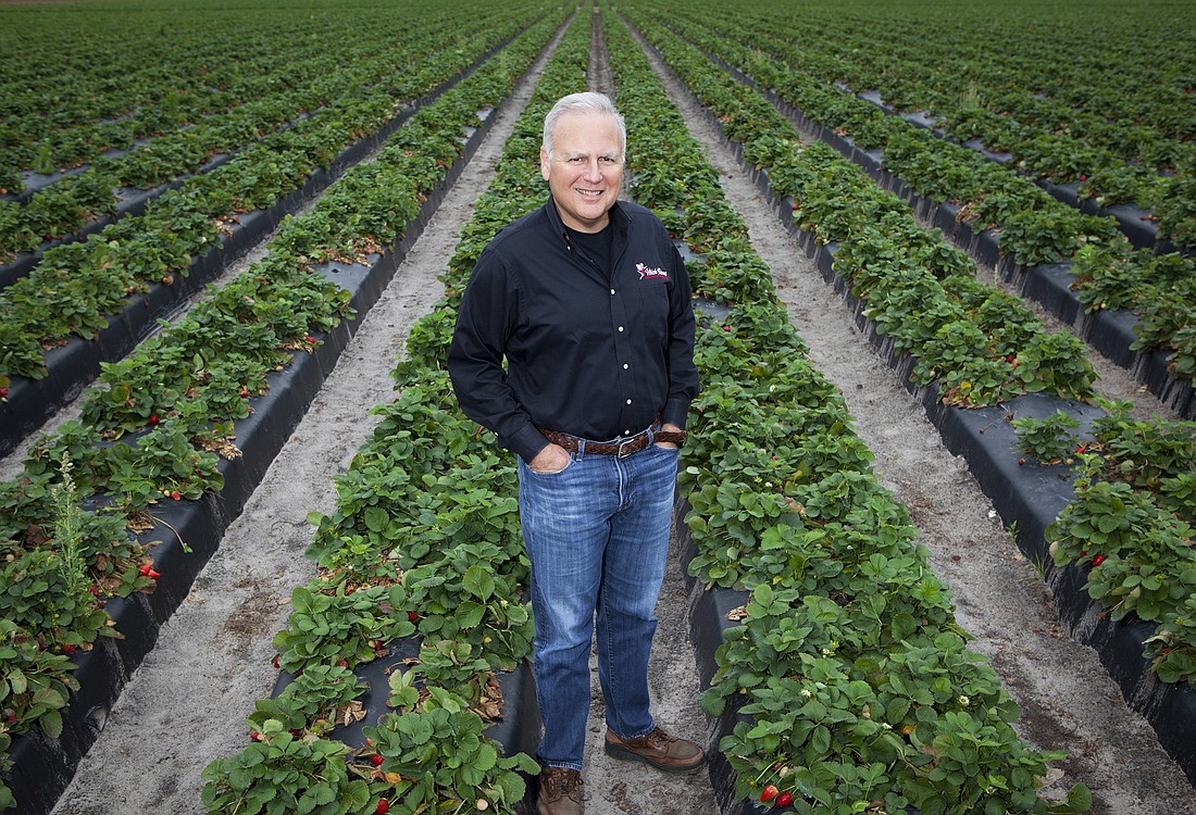 File. Gary Wishnatzki is the third generation owner of Wish Farms in Plant City.