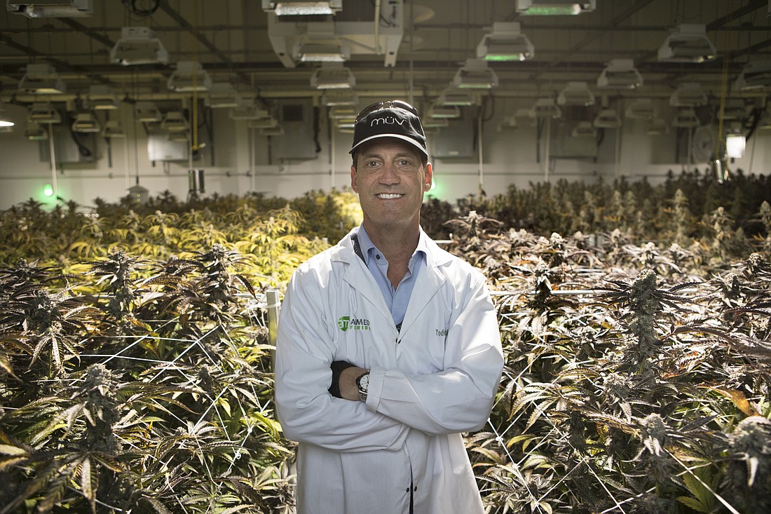 Mark Wemple. Todd Beckwith at AltMed&#39;s 220,000-square-foot cultivation/grow facility in Apollo Beach.