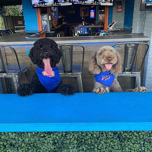 Courtesy. File. Dogs at Pups Pub in South Tampa.