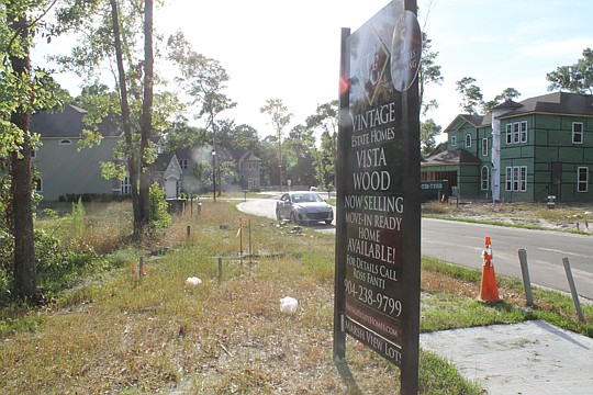 Vista Wood in northern Duval County captures the advantages of "boutique" subdivisions, which often means larger lots, natural settings and more variation in home designs. It gives the feeling of an established neighborhood, said developer Chet Skinner.