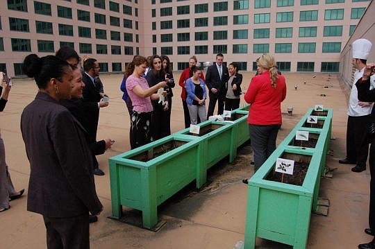 Representatives from each department at the Hyatt Regency Jacksonville Riverfront helped plant a garden Monday on the roof of the hotel.