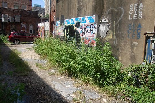 Weeds gone wild and unmaintained structures, two of the city's criteria for "blight," can be found throughout Duval County - including Downtown in the alley between Ocean and Newnan streets.