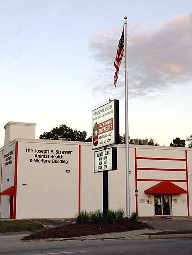First Coast No More Homeless Pets operates along Norwood Avenue and intends to add a second clinic along Cassat Avenue.