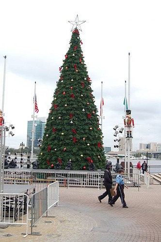 The 28th annual lighting of the Jacksonville Christmas tree begins at 6 p.m. Friday at the Landing.