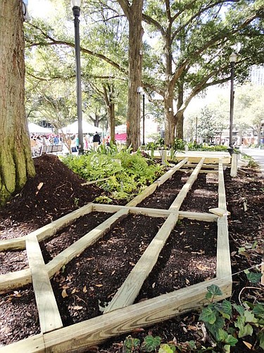 Some of the landscaping replaced in Hemming Park in March is being covered by stages and ramps, which are required by the Americans With Disabilities Act. The work is being done by Friends of Hemming Park, the nonprofit contracted by the city to manag...