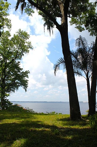 Three of the lots at The Bluffs at Plummers Cove will sit 20 feet above the St. Johns River.