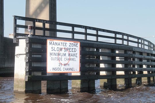 Read manatee zone signs carefully when boating. The rules for slow-speed zones change three times from the Fuller Warren Bridge to Reddie Point.