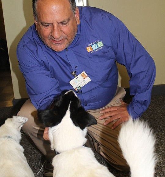 Are Dogs Allowed At The Jacksonville Zoo