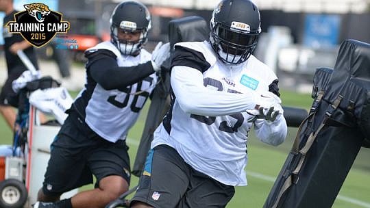 Fans can see the Jacksonville Jaguars in training camp on 10 different days. (Photo from jaguars.com)