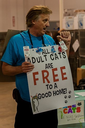 Ted Kostich of KDI Homes in Fernandina Beach offered to underwrite adoption fees for adult cats at the Mega Pet Adoption at the Jacksonville Fairgrounds. There were 830 adoptions at the Friday-Sunday event, which was sponsored by First Coast No More H...