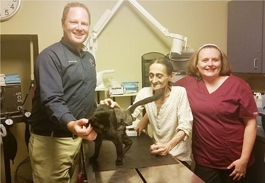 From left, Nate Walters, St. Johns County Animal Control Officer; Rondo, the cat; Mildred Hurley, Rondo's owner; and Dr. Isabelle Roese, St. Augustine Humane Society veterinarian.