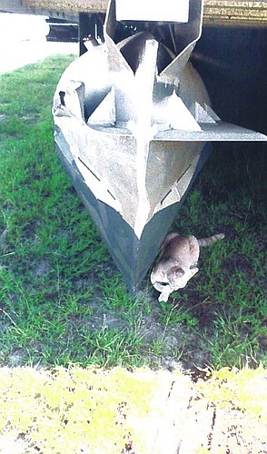 Repairs to the Native Choice will cost about $27,000, according to an estimate provided by a Central Florida dealer. Most of that is to repair damage to pontoons to the boat that was used as a water taxi the past year. The invoice includes pictures sh...
