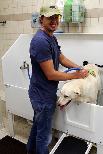 Winston Sheen and his dog, Remi, take advantage of a self-wash station at EarthWise Pet Supply.