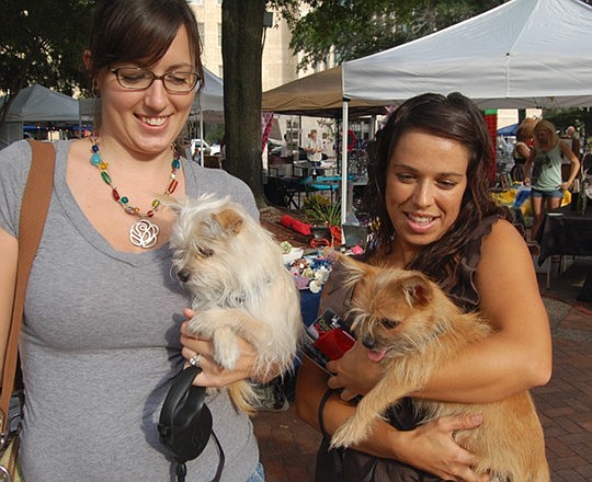 Photo by Max Marbut - Jamie Kouw (left) and Maria Phillips had their hands full at First Wednesday "Pet Walk" with their friends Tonto and Scout.
